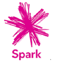 Spark Logo 2